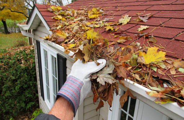 Gutter Cleaning & Repair